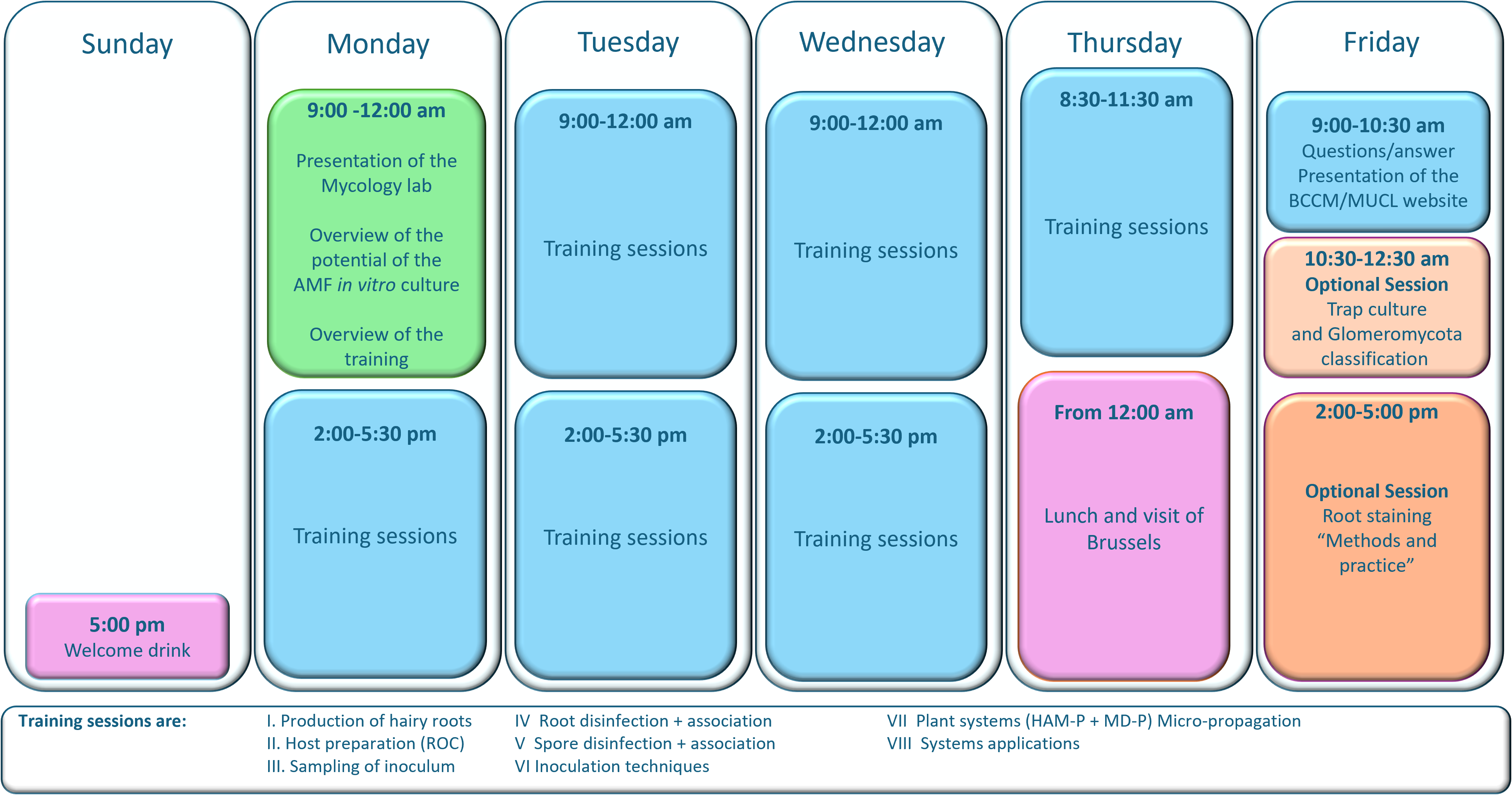 Schedule